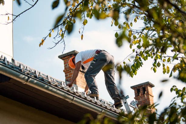 Professional Roofing Contractor in White Castle, LA