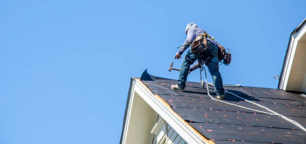 Best Roof Gutter Cleaning  in White Castle, LA